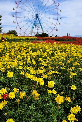 b0131167_17443957.jpg