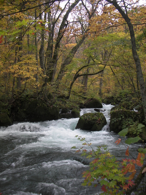 f0204469_2091015.jpg