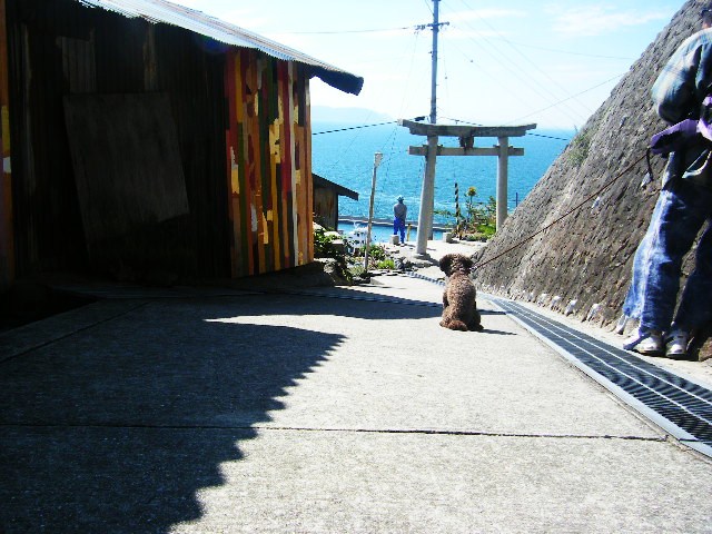 f0207970_11203264.jpg