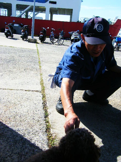 f0207970_11262098.jpg