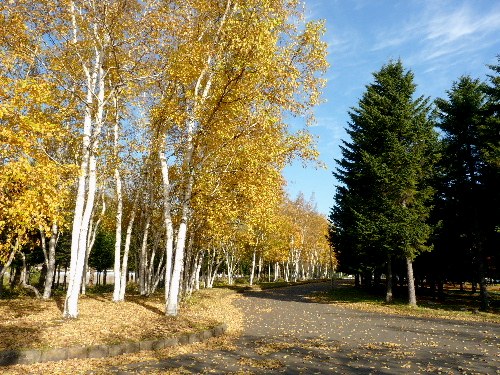 d0084473_19275130.jpg