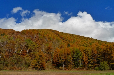 f0182173_1204049.jpg