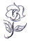 c0228578_165663.jpg