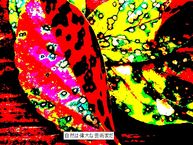 c0223879_20241558.jpg