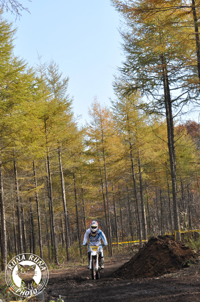 f0210380_12172164.jpg