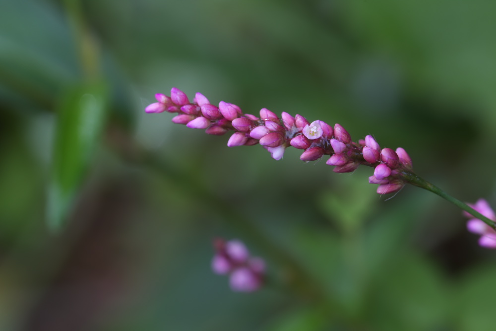 a0083081_17484785.jpg