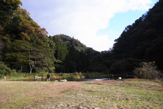 d0129886_12363091.jpg