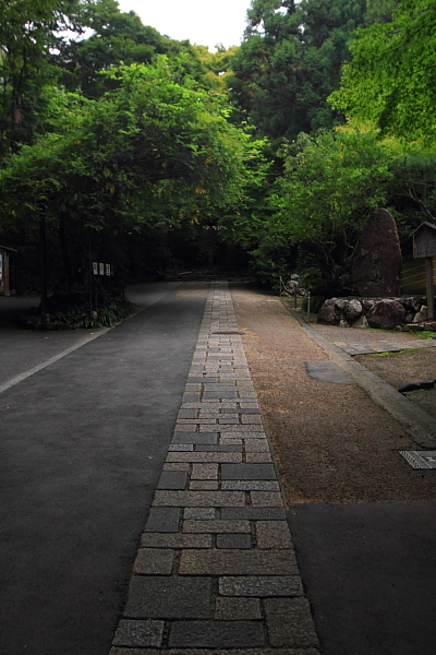 e0051888_23122979.jpg