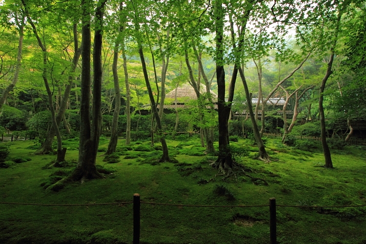 e0051888_23141870.jpg