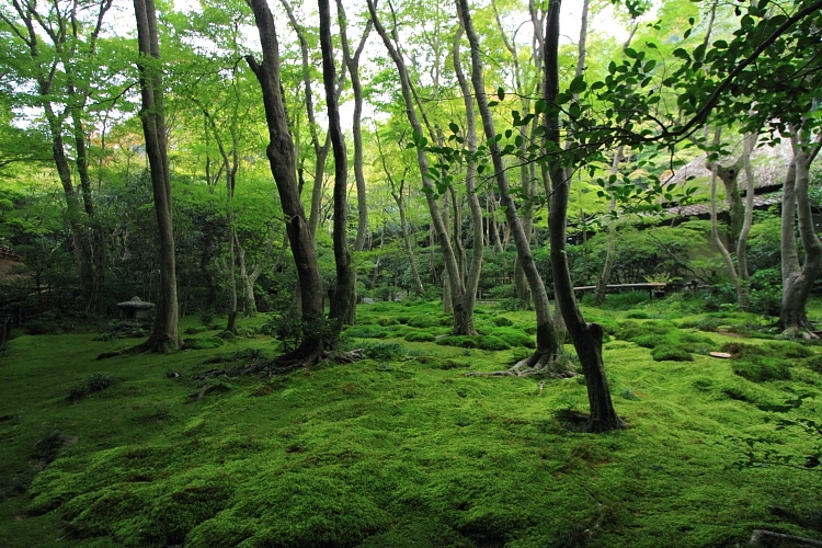 e0051888_23144193.jpg