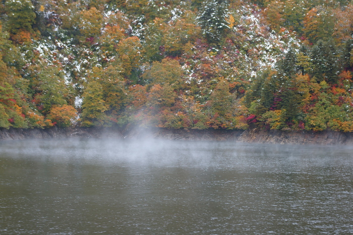 c0061695_15422494.jpg