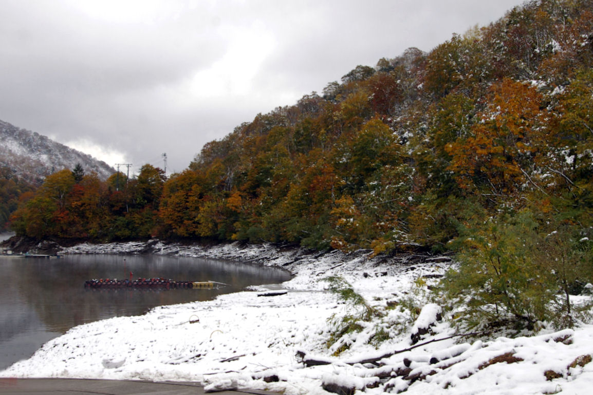 c0061695_1545937.jpg