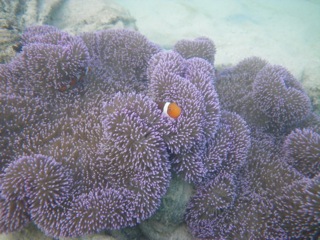 c0193396_10344740.jpg
