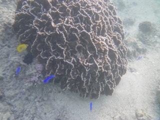 c0193396_1035240.jpg