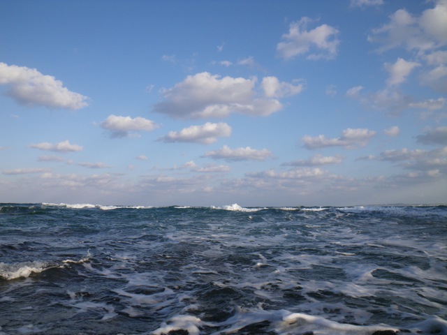 c0193396_10352597.jpg