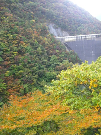 a0138198_14281469.jpg