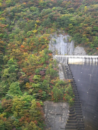 a0138198_143946100.jpg