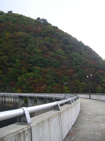 a0138198_14453950.jpg