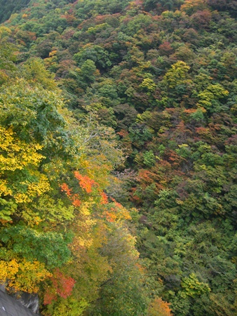 a0138198_1450960.jpg