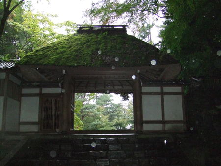 e0180099_864457.jpg