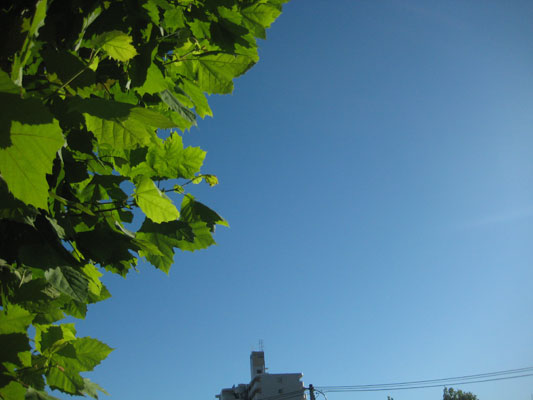 b0097200_239520.jpg