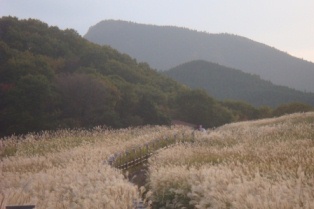 b0128101_23335174.jpg