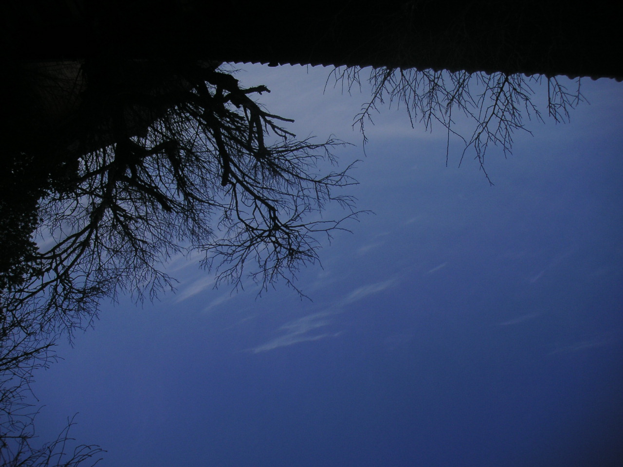 f0146802_2115978.jpg