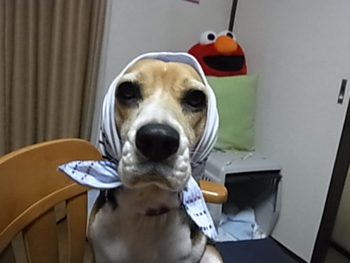 c0205806_2132461.jpg