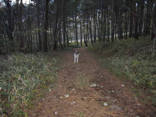 e0198606_23442434.jpg