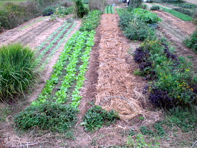 f0144707_156569.jpg