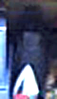 e0103408_20223952.gif