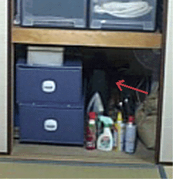 e0103408_2036296.gif