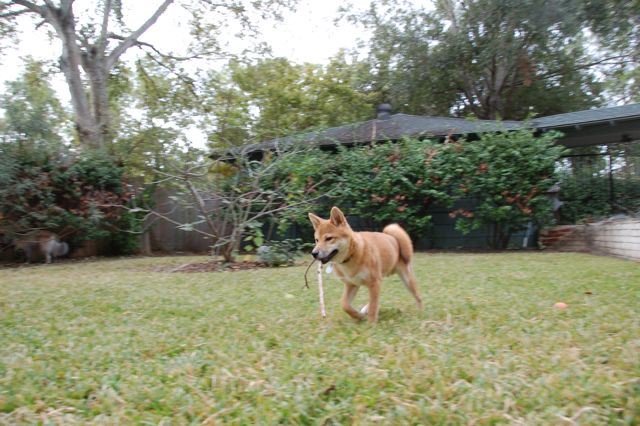 f0227709_1158314.jpg