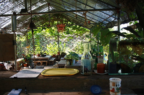 d0138113_2234525.jpg