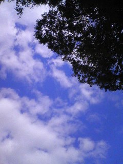 c0146714_16342718.jpg