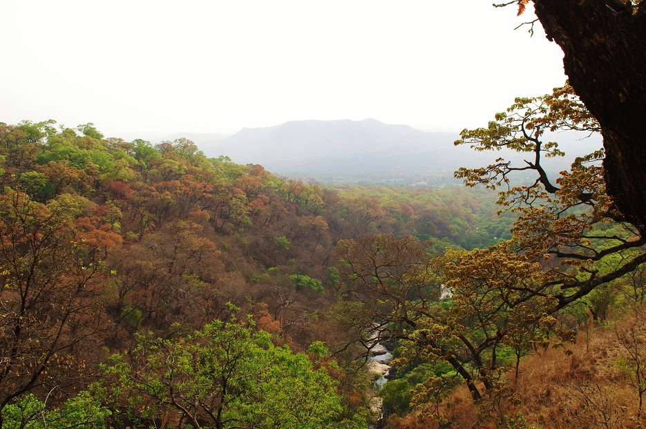 c0221417_21102057.jpg