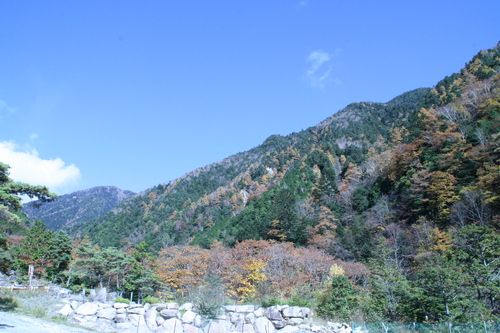 b0156518_1313509.jpg