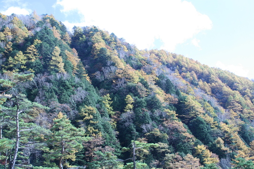 b0156518_13143044.jpg