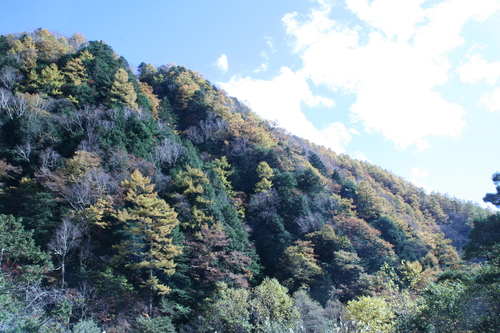 b0156518_13145916.jpg