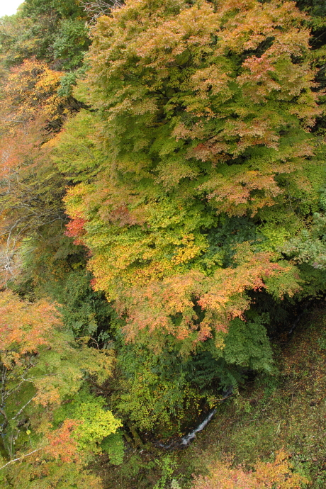 f0197319_13143345.jpg