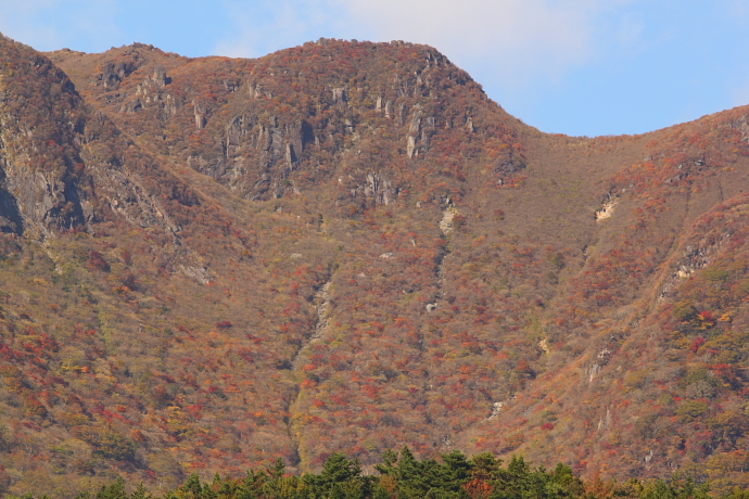 f0197319_1317879.jpg