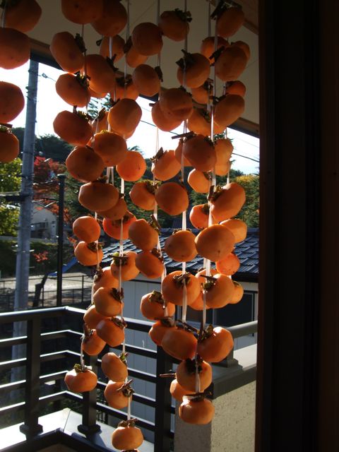c0025422_2094473.jpg