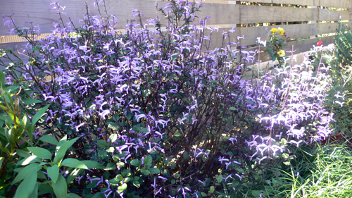 f0060424_11253153.jpg