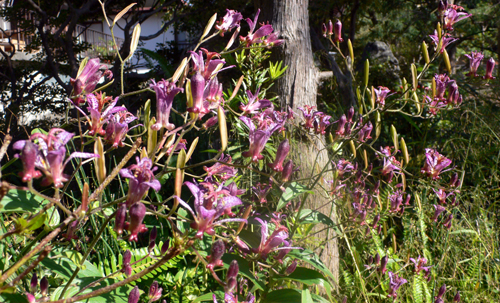 f0060424_11295165.jpg