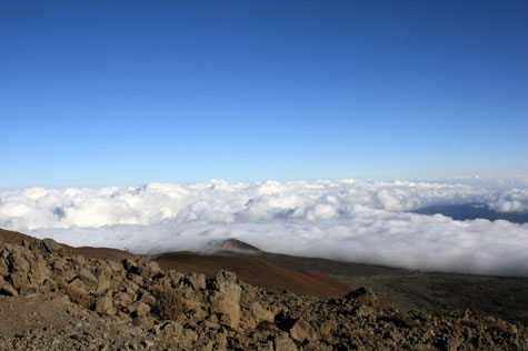 f0137324_20253143.jpg