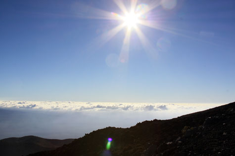 f0137324_20265174.jpg