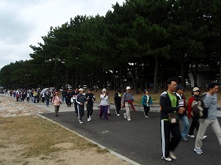 b0008825_957521.jpg