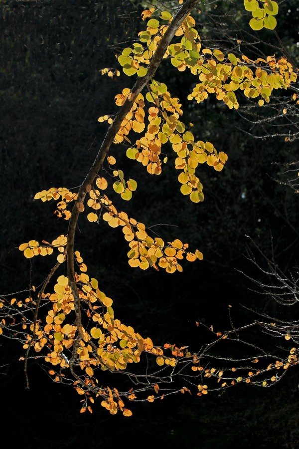 c0104227_20224430.jpg
