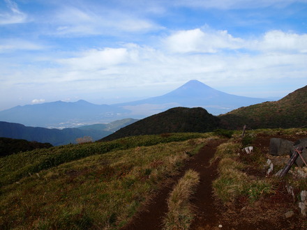 c0000134_1861741.jpg