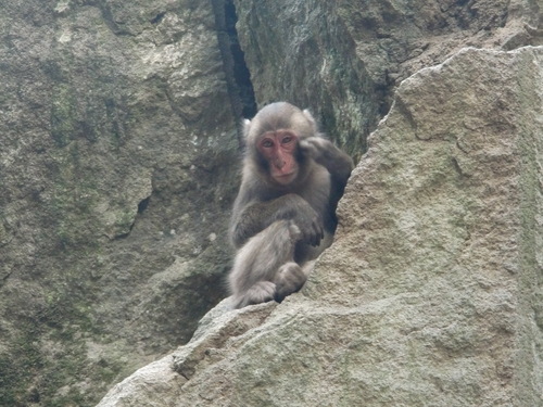 d0155434_22372521.jpg